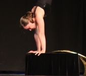 Hula-Hoop - Black & Gold